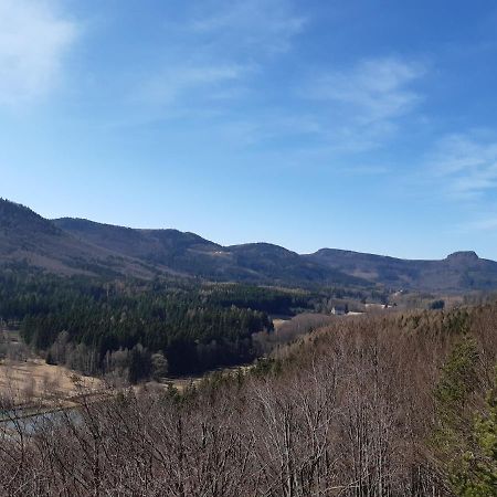Agroturystyka Tam Gdzie Sosny Scinawka Dolna Экстерьер фото