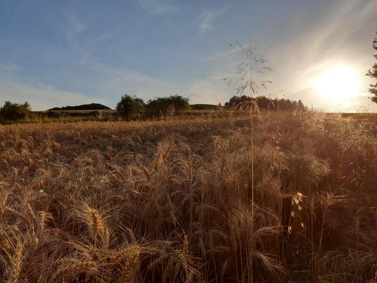 Agroturystyka Tam Gdzie Sosny Scinawka Dolna Экстерьер фото
